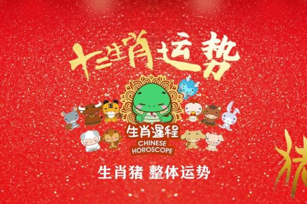 属猪今年几岁2025_属猪今年几岁了