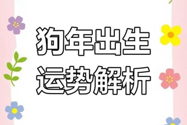 1982年属狗人今日运势 1982年属狗人今日运势解析财运事业感情全揭秘