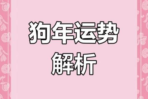 2025年属狗人运势_2025年生肖狗全年运程