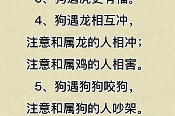 2025年1970年属狗女财运好吗 70年狗女2025有贵人吗 2025年1970年属狗女财运好吗 70年狗女2025有贵人吗