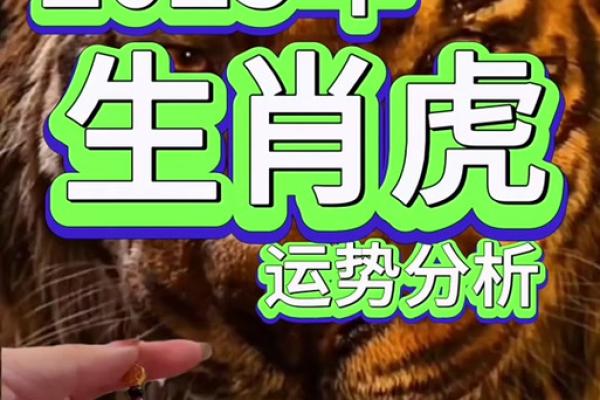 82年属狗2025全年运势_2025年属狗全年运势详解82年出生者必看 82年属狗2025全年运势_2025年属狗全年运势详解82年出生者必看