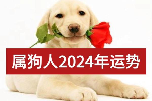 94狗2025年运势_94属狗2023到2024运势
