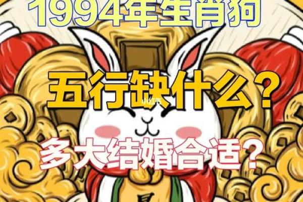 94年的狗是什么命 五行属什么 1994年属狗五行属什么揭秘94年狗命格与运势 94年的狗是什么命 五行属什么 1994年属狗五行属什么揭秘94年狗命格与运势