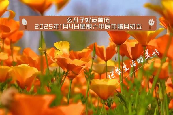 2025年1月1号生的孩子属什么 2025年1月1号生的孩子属什么