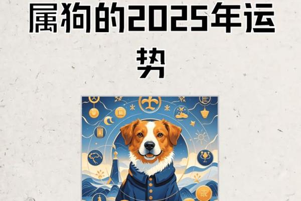 2025年属狗人的全年运势女 2025年属狗女性全年运势详解事业财运爱情全解析