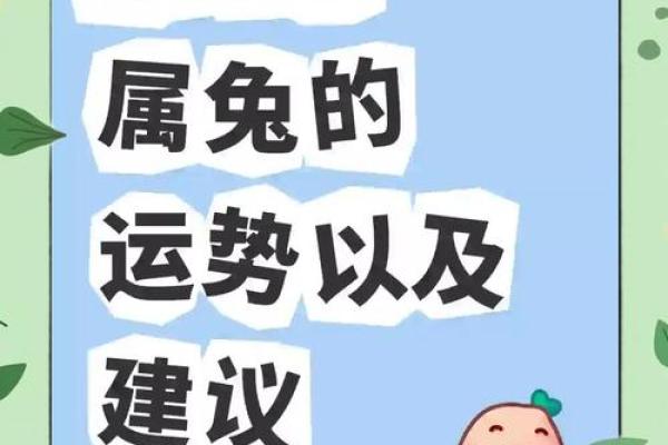 2025年属兔运势详解1975年生人运程全解析 2025年属兔运势详解1975年生人运程全解析