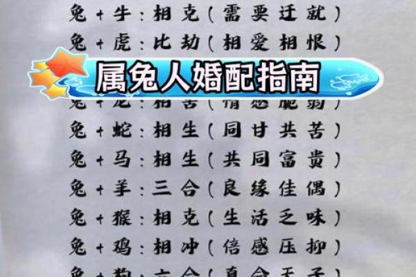 1987年已婚属兔女2025年_1987年已婚属兔女2025年运势解析与婚姻指南 1987年已婚属兔女2025年_1987年已婚属兔女2025年运势解析与婚姻指南