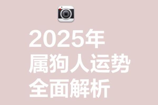 属狗的2025年运势 属狗的2025年运势如何