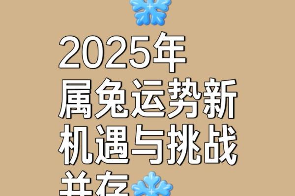 2025属兔大爆发的一年 2025属兔大爆发运势巅峰机遇与挑战并存 2025属兔大爆发的一年 2025属兔大爆发运势巅峰机遇与挑战并存
