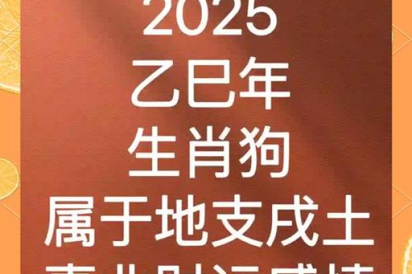 2025狗年运程1982年运势_2025狗年运程1982年运势女