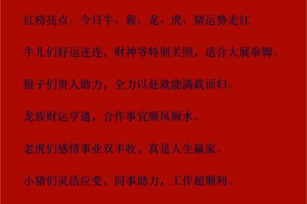 2025年猪年运势解析财运健康感情全预测 2025年猪年运势解析财运健康感情全预测