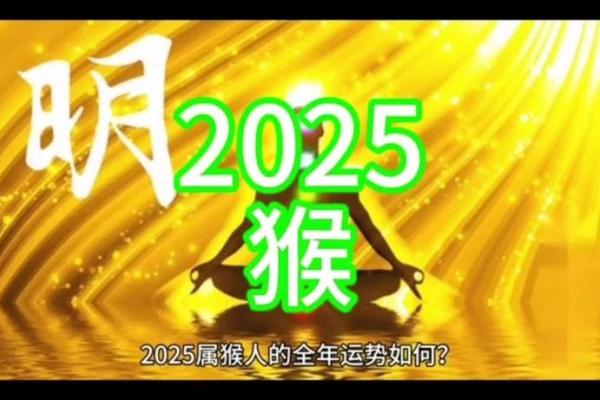 2006年属狗的在2025年运势_2006年属狗的在2025年运势怎么样