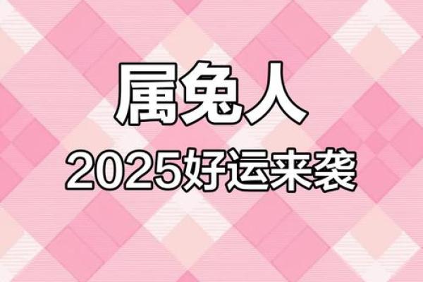 2025年属兔人的全年运势1987年出生_87年属兔在2025年的全年运势详解 2025年属兔人的全年运势1987年出生_87年属兔在2025年的全年运势详解