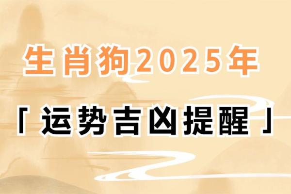 82年狗在2025年运势及运程 2025年82年属狗人运势详解运程大揭秘