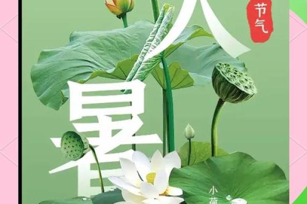 大暑下雨预示什么 有什么说法 大暑下雨预示什么 有什么说法