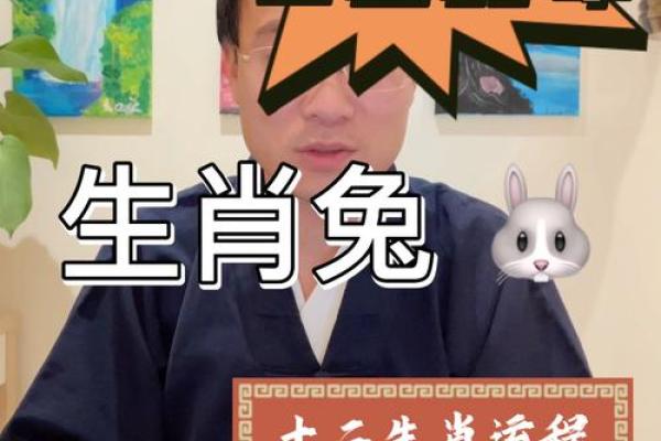 1975属兔的人今年财运怎么样_1975属兔的人今年财运怎么样每月运势如何 1975属兔的人今年财运怎么样_1975属兔的人今年财运怎么样每月运势如何