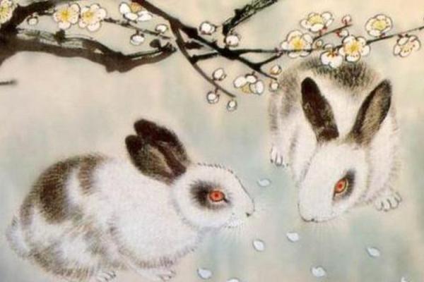 1999年属兔今年的姻缘怎样 1999年属兔的今年会结婚吗