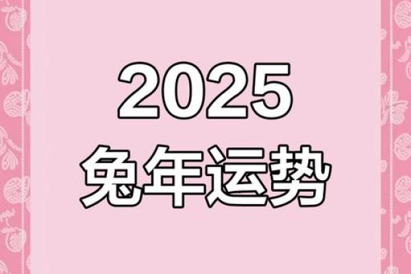 2025年兔人的全年运势 2025年兔人的全年运势详解