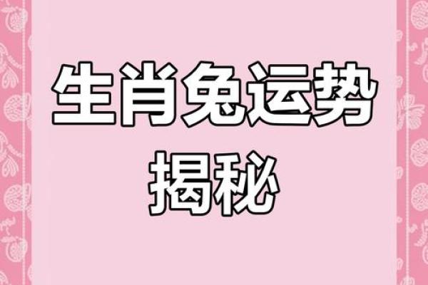 属兔人今天的运气和财运_属兔人今日运势解析财运与运气全揭秘 属兔人今天的运气和财运_属兔人今日运势解析财运与运气全揭秘