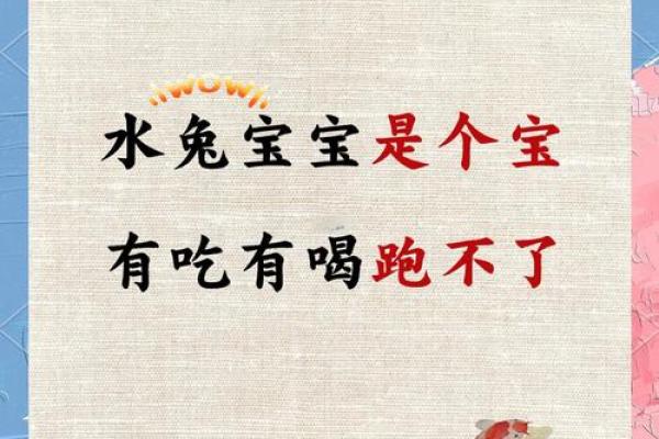 立春以后出生的孩子属什么 2023年的兔宝宝命运如何... 立春以后出生的孩子属什么 2023年的兔宝宝命运如何...