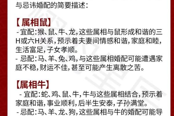 九六年属鼠男孩的婚配 一家人其乐融融 九六年属鼠男孩的婚配 一家人其乐融融