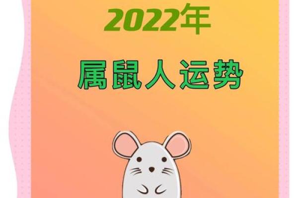 今日属鼠的运势