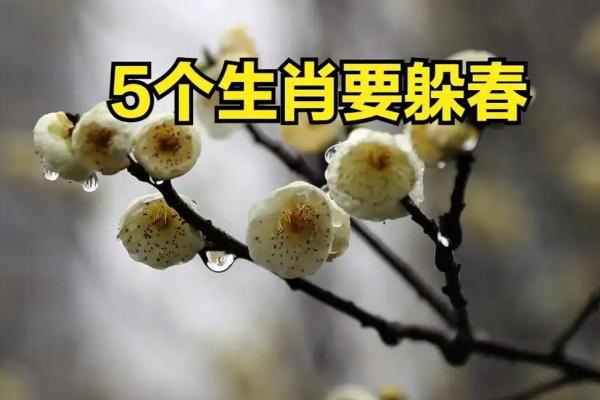 躲春2024具体时间什么属相躲 哪些人需要躲