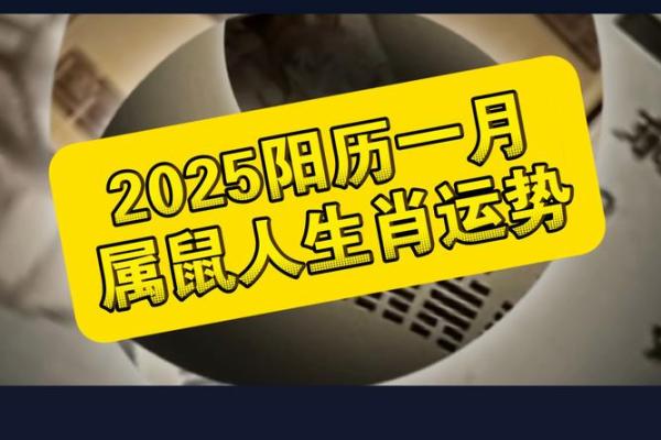 1996年属鼠男2025年的运势和婚姻