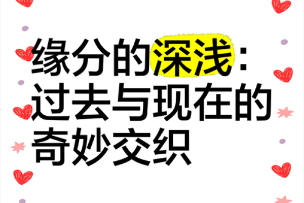 缘分浅是什么意思深度解析缘分浅的含义与影响 缘分浅是什么意思深度解析缘分浅的含义与影响