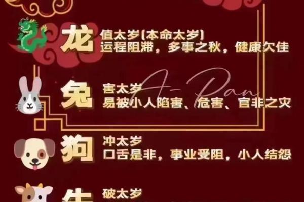 2000年属龙今年多大_2000年属龙现在几岁