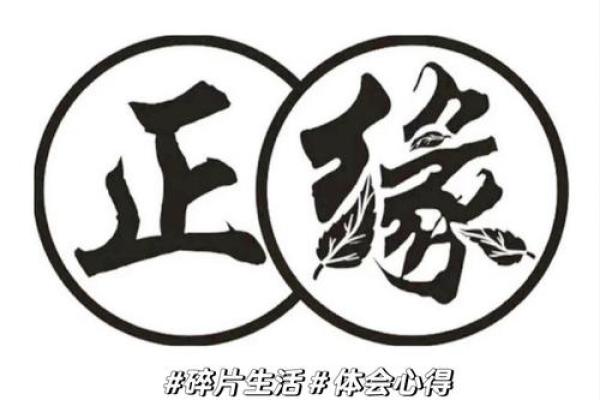 缘分使然是什么意思_缘分使然是成语吗