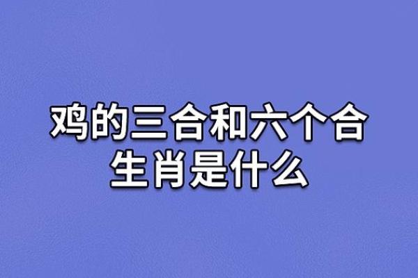 属鸡和属鸡的财运合不合揭秘生肖配对财运影响 属鸡和属鸡的财运合不合揭秘生肖配对财运影响