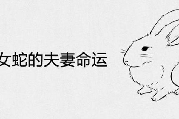 蛇和兔子属相婚配如何_男兔女蛇千万别在一起