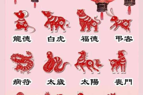 2025年4月26日生肖运势详解