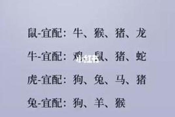 兔跟鸡属相婚配如何 兔鸡属相婚配解析缘分天定还是性格不合