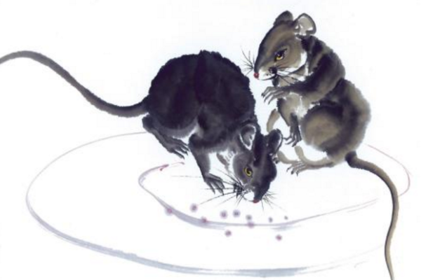 惦念家中一支梅是什生肖(惦念什么) 惦念家中一支梅是什生肖(惦念什么)