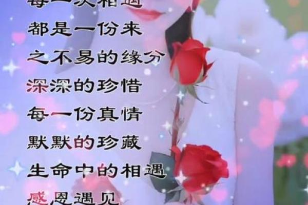 突如其来的缘分 突如其来的缘分命运安排的奇妙相遇 突如其来的缘分 突如其来的缘分命运安排的奇妙相遇