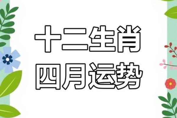 2025年4月28日生肖运势大揭秘 2025年4月28日生肖运势大揭秘
