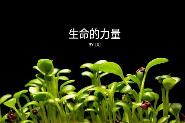 什么动土,什么是破土