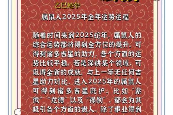 2025年属鼠的人的全年运势 2025年属鼠的人的全年运势