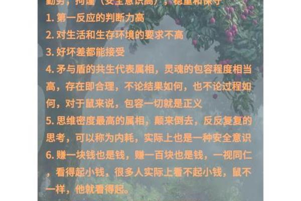 96年属鼠人2025年全年运势运程 96年属鼠人2025年全年运势运程