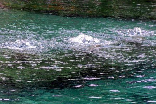 2005属鸡男孩泉中水一生 泉中水命几月出生好