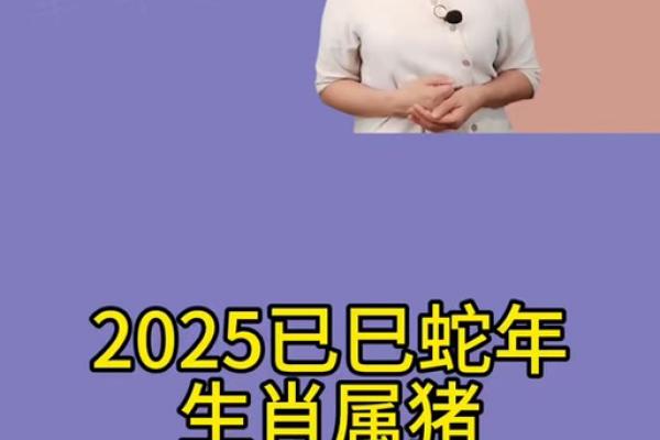 1995属猪2025运势及运程详解_1995属猪2025年运势详解运程全解析
