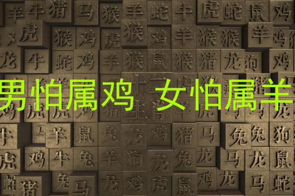 属鸡和属羊的婚姻相配吗_男羊女鸡能过一辈子吗 属鸡和属羊的婚姻相配吗_男羊女鸡能过一辈子吗
