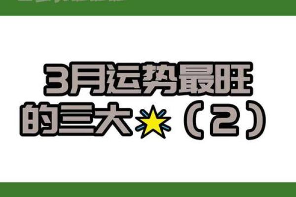双子女3月运势(双子座三月运势)
