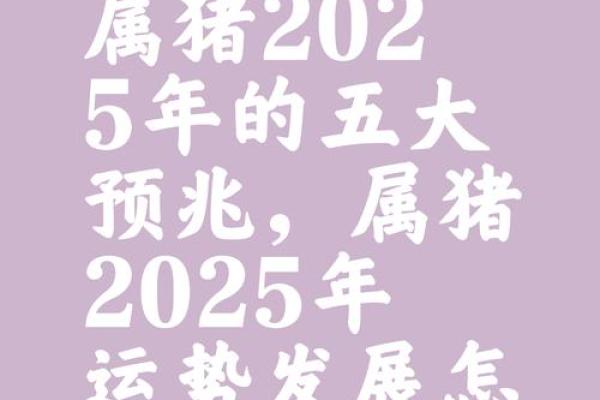 2025年属猪运势完整版_2025属猪最旺颜色