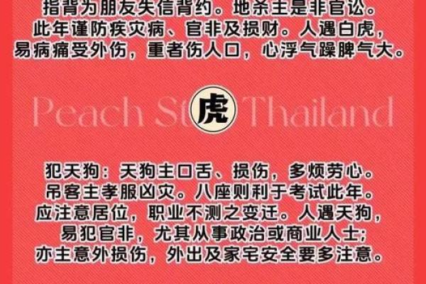 2025属鼠运势及运程每月运程 2025属鼠运势及运程每月运程