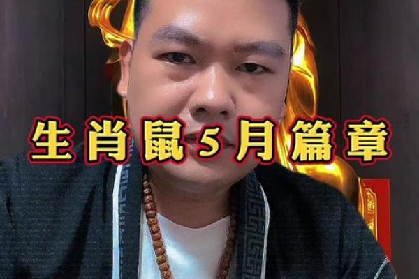 1984年的鼠今年运势 1984年的鼠今年运势