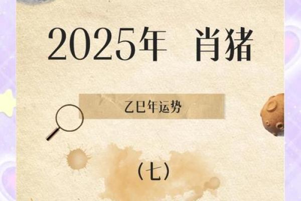 属猪的2025运势怎么样_2025年属猪人运势详解财运事业爱情全解析 属猪的2025运势怎么样_2025年属猪人运势详解财运事业爱情全解析