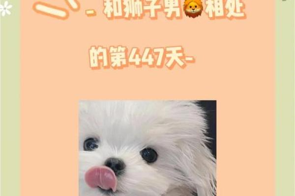 双子座男狮子座女(双子座男狮子座女配对) 双子座男狮子座女(双子座男狮子座女配对)